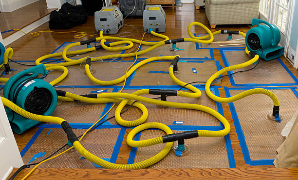 Professional Flood Damage Restoration technician working in George, IA
